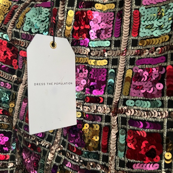 Gorgeous dress the population dress size small. - Picture 2 of 4